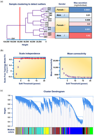 four images from a paper. The top diagram is a dendrogram ending in the names of samples such as FF2, FF1, FF3, FM3, FM2 etc. A table on the right is alligned to show the sex and amount of wax secreted by the samples. The middle graphs are not relevant to cluster analysis. The bottom graph is a dendrogram ending in over 100,000 lines. A wide horizontal bar underneath is divided into 19 repeating colours corresponding to 19 groups of genes.