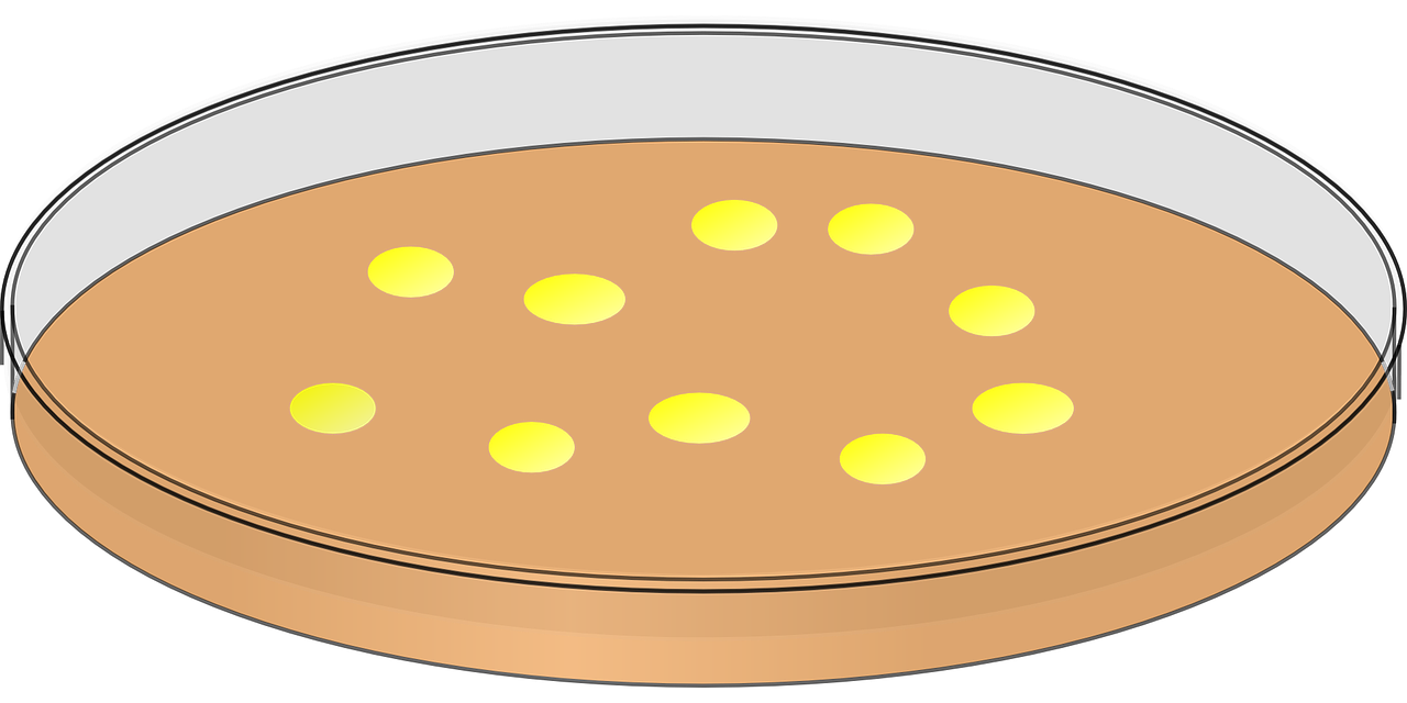 a diagram of a cartoon petri dish with 10 yellow spots on it